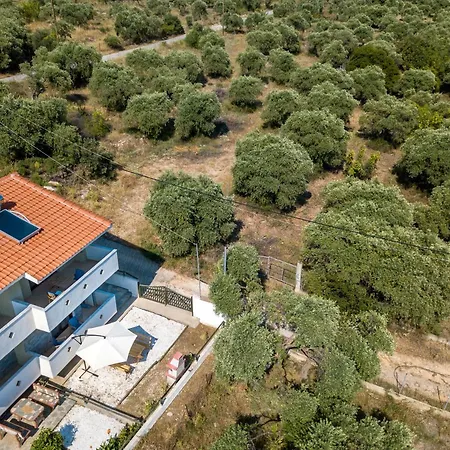 Olive Maison فيلة *