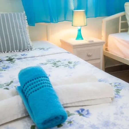 Olive Maison 아스트리스