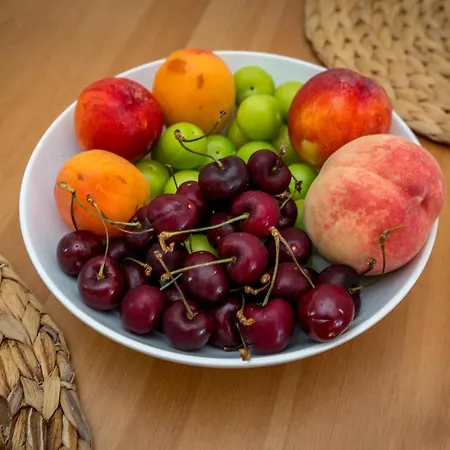 Olive Maison 빌라 아스트리스