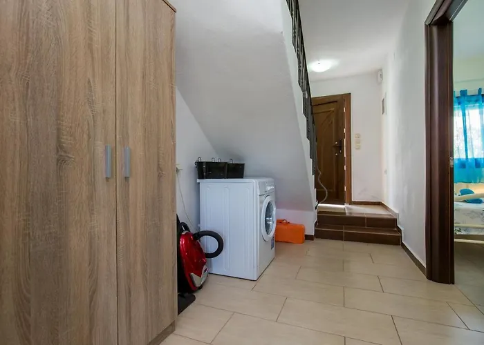 Olive Maison فيلة